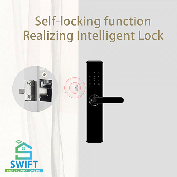 WiFi Smart Door Lock E203 3